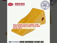 R225 R225RC R225TL R290RC R290 61Q6-31310 61N8-31310RC E262-3046 دندان های سطل