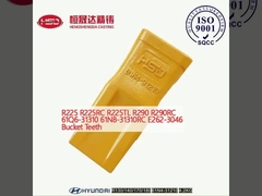 R225 R225RC R225TL R290 R290RC 61Q6-31310 61N8-31310RC E262-3046 دندان های سطل