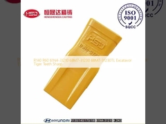 R140 R60 61N4-31210 68M7-31230 68M7-31230TL Excatavor دندان ببر تیز